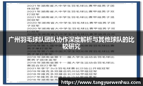 广州羽毛球队团队协作深度解析与其他球队的比较研究