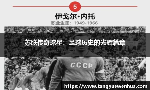 苏联传奇球星：足球历史的光辉篇章