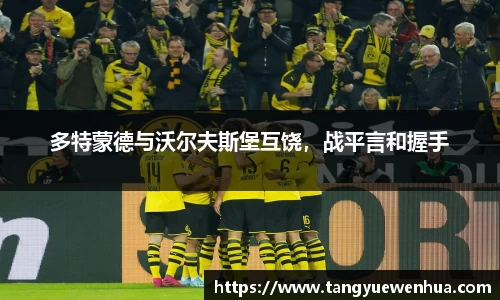 多特蒙德与沃尔夫斯堡互饶，战平言和握手