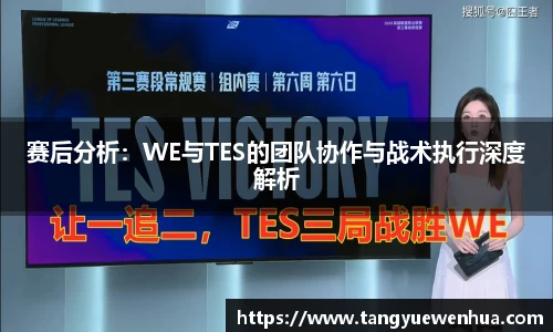 赛后分析：WE与TES的团队协作与战术执行深度解析